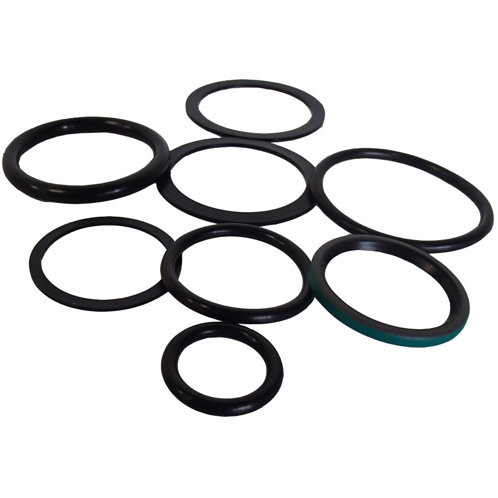 Cylinder Seal Kit Fits Massey Ferguson Loader Model: 232 Replaces 837393M91