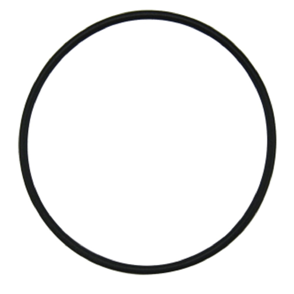 O-Ring Fits Case/International Harvester Replaces 106667A