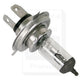 12V Bulb Fits 5088 6088 7010 7088 7120 8010 73EG13009AA 73EG13009AA-A 83948319