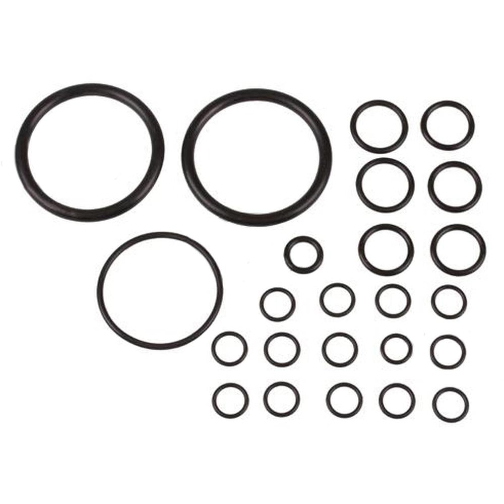 894906M91 Hydraulic Pump O-Ring Kit Fits Massey Ferguson MF35 50 65 & Ind 202 20