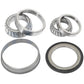 A-1094034R93-AI Wheel Bearing Kit