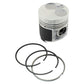 A-115017581-AI Piston Kit; Std.