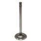 A-31431281-AI Valve, Intake