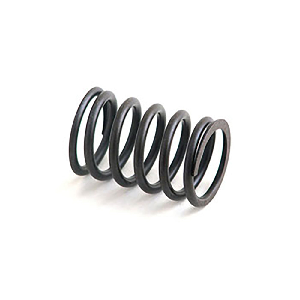 A-31744133-AI Spring, Valve Inner