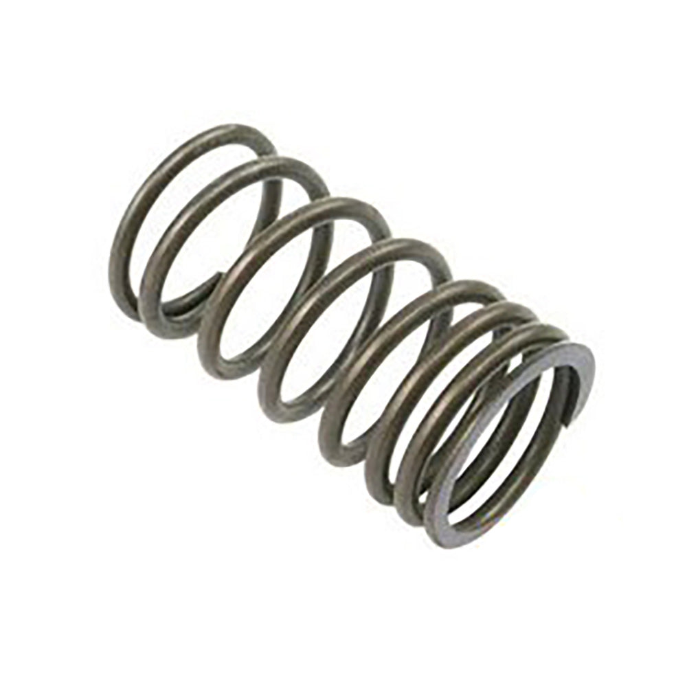 A-31745121-AI Spring, Valve Outer