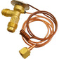 A-AH80191-AI Expansion Valve