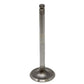 A-AJR4041-AI INTAKE VALVE