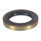 A-AT21780-AI Seal, Oil