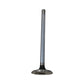 Exhaust Valve (Std) Fits John Deere Replaces A-R43679