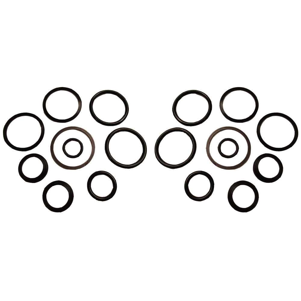 Qty 2: Cylinder Seal Kit Fits Case/International Harvester Replaces A44644
