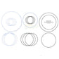 A46286 Seal Kit-Clutch Repair Fits Case-IH: 1070,1270,1370,1570,1896,2090,