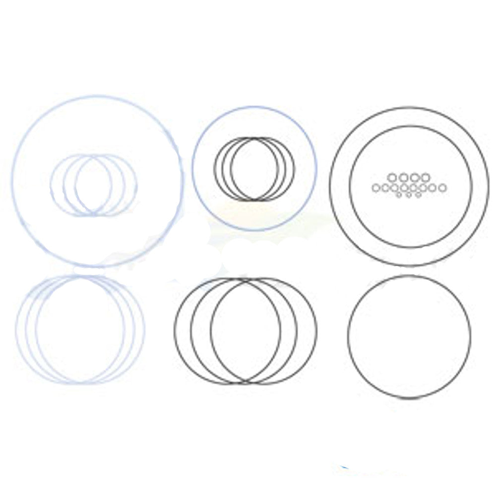 Seal Kit A46286 Fits Case 3394 3594 4490 4494 4690 4694 4890 4894 770 870 970