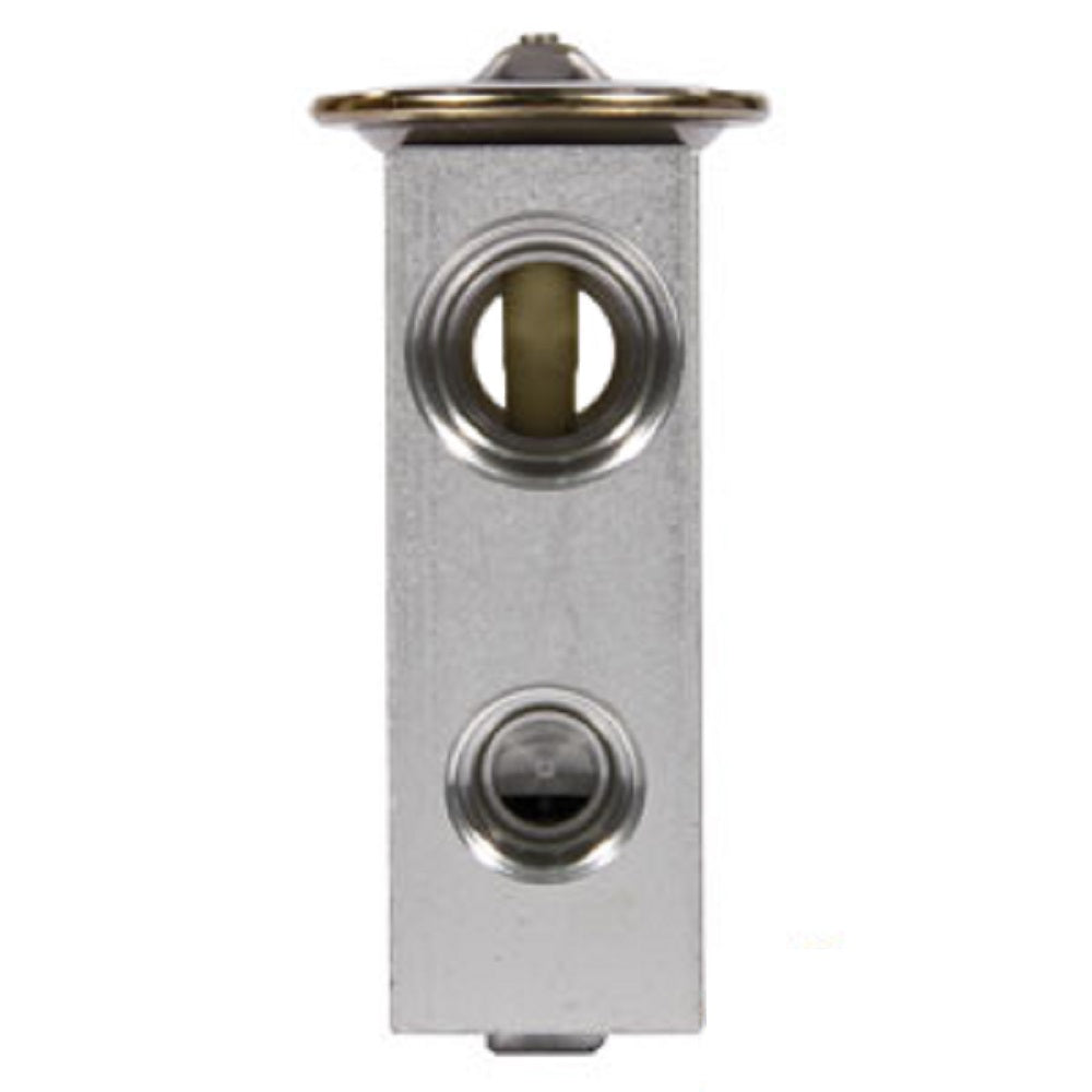 Expansion Valve Fits Case/International Harvester Replaces 1990756C1-Valve