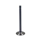 ACS5358-STR Intake Valve Fits Allis Chalmers D17 WC WD WD45 WF 170 175
