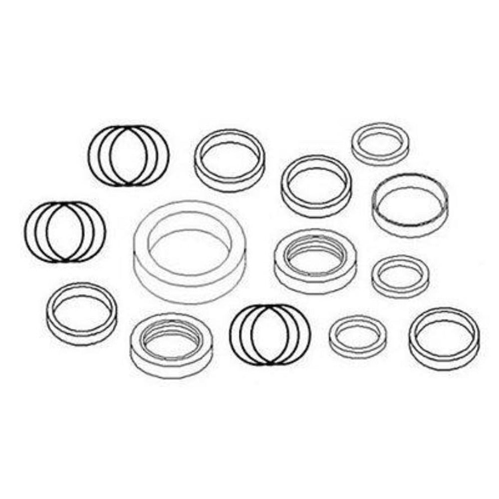 AE37830 Seal Kit Fits John Deere Forage Harvester Lift Hyd Cyl 3950 4720