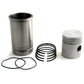 AM163117AS Cylinder Kit