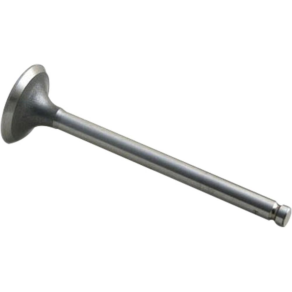 AM3142A051 Exhaust Valve