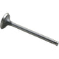 AM31431591 Exhaust Valve