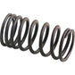 AM31745121 Outer Valve Spring