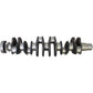 AM504203869 Crankshaft