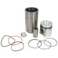 AR100646 New Piston Liner Kit Fits John Deere 6602 6620 6622 7720 9940 9950 +