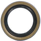 Hydraulic Pump Shaft Seal Fits White Replaces 101691A