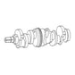 New Crankshaft C5NE6303K Fits Ford New Holland 5500 6600 6700 7000 5000