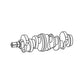 F0NN6303NA Crankshaft Fits Ford New Holland 2000 2600 3000 3600 2610 3610