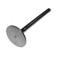 Intake Valve Fits Ford/New Holland Replaces 87800344