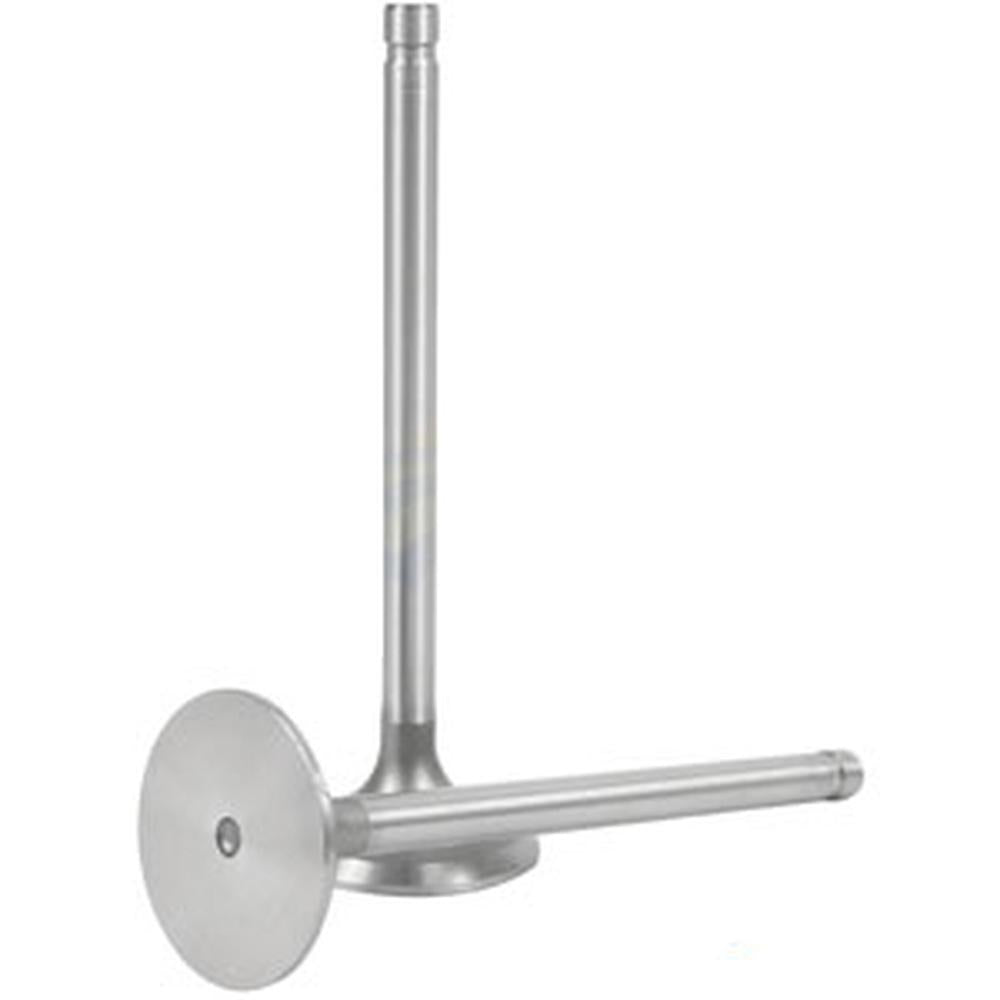 Intake Valve Fits Ford/New Holland Replaces 87800344