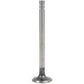 Exhaust Valve Fits Ford Replaces 81843651