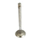 Exhaust Valve Fits Ford/New Holland Replaces 81818709