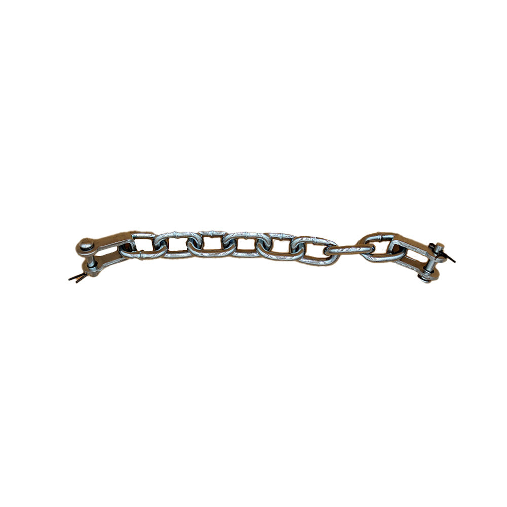 Check Chain Assy - Fits Ford - CBPN598A