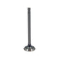 COS5283-STR Exhaust Valve Fits Cockshutt E3 E4 E5 30 40 50