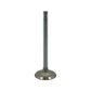 COS5337-STR Intake Valve Fits Cockshutt E3 E4 E5 30 40 50