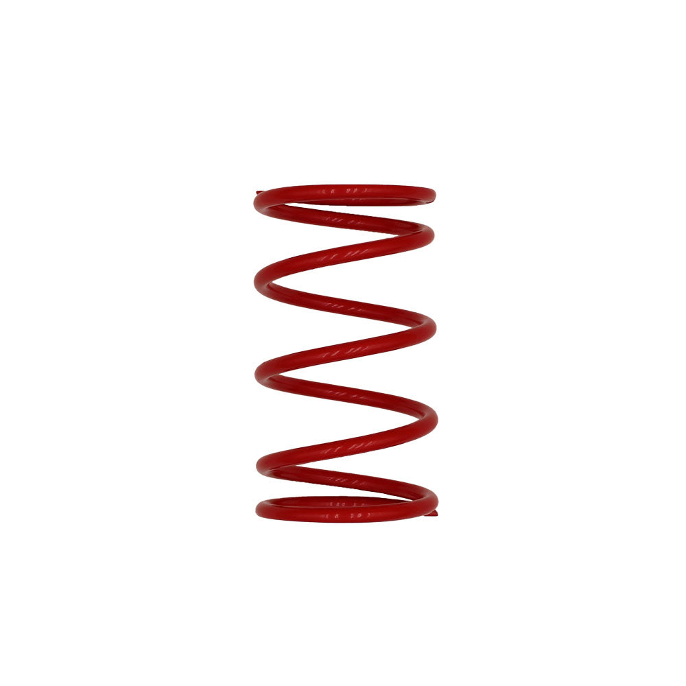 CP-0101 Clutch Spring Kit Fits EZ-GO TXT Golf Cart 295cc & 350cc Engines