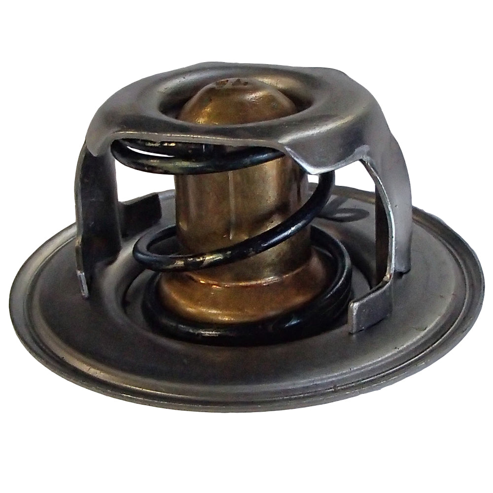 S.65030 Thermostat, D8Nn8575Aa Fits Ford/New Holland