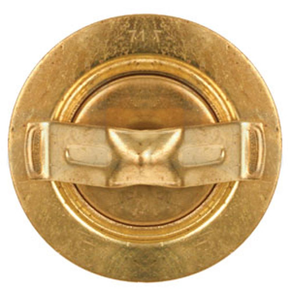 Thermostat w/ Gasket Fits Ford/New Holland Replaces 83920279
