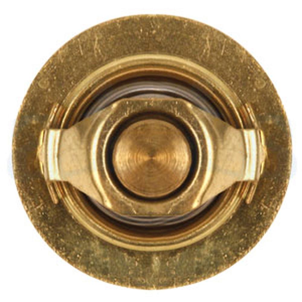 Thermostat 160° Fits Ford 1600 CL55 1000 CL45 1700 2110 1910 1500 SBA145206011