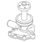 Water Pump with Pulley Fits 1500 1700 1900 1106-6226 83926846 87764987 SBA145016