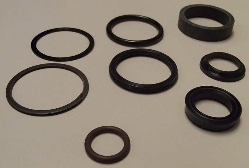 Qty 2: Cylinder Seal Kit Fits Case/International Harvester Replaces D148100