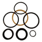 D61006 Grapple Cylinder Seal Kit Fits Case 1530B 1700 1816B 1816C 1835B-C 1840