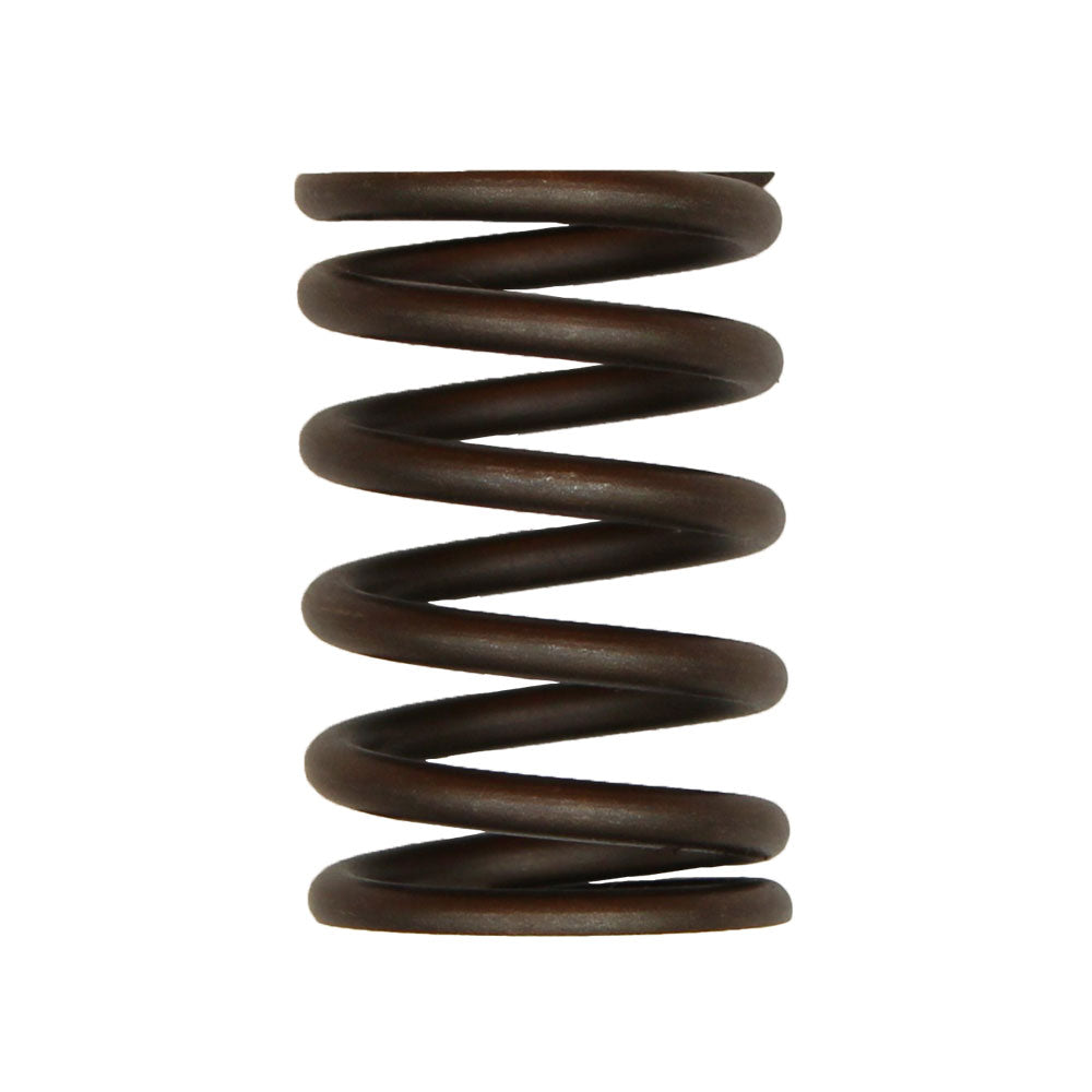 Valve Spring Fits Case/International Harvester Replaces 83911693