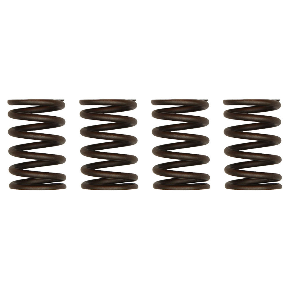 Qty. 4: Valve Spring Fits Ford/New Holland Replaces 3911693