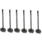 Qty 6: Intake Valves Fits Ford/New Holland Replaces 81824116