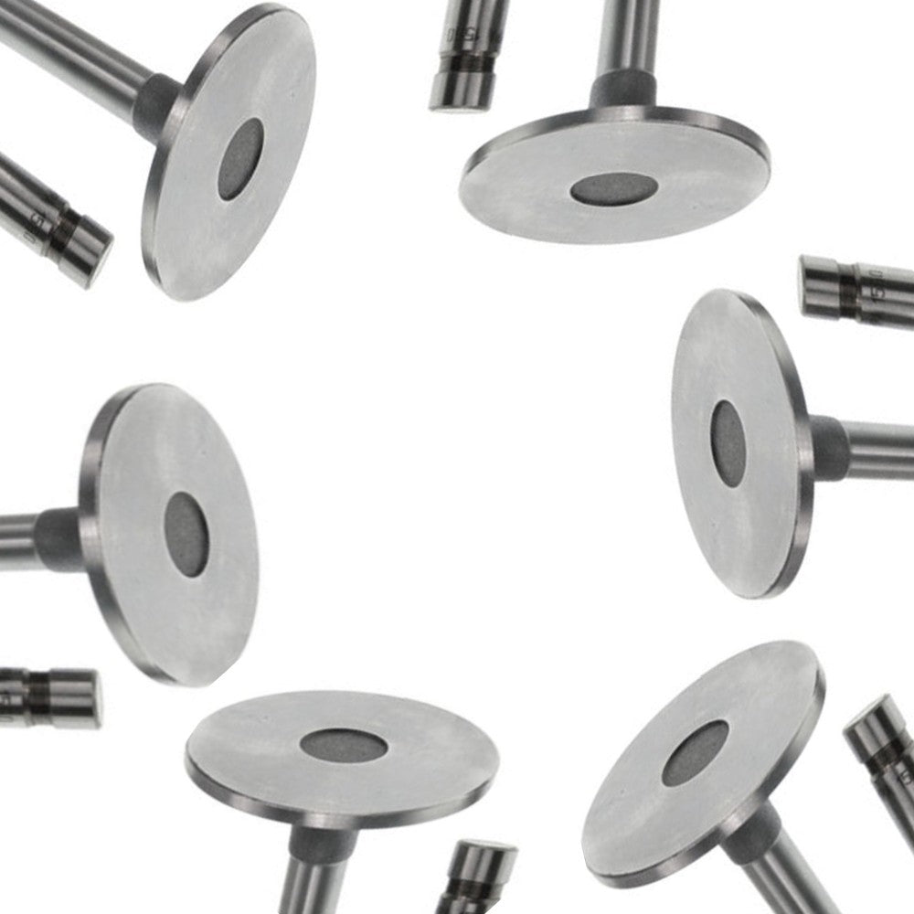 Qty 6: Intake Valves Fits Ford/New Holland Replaces 81824116