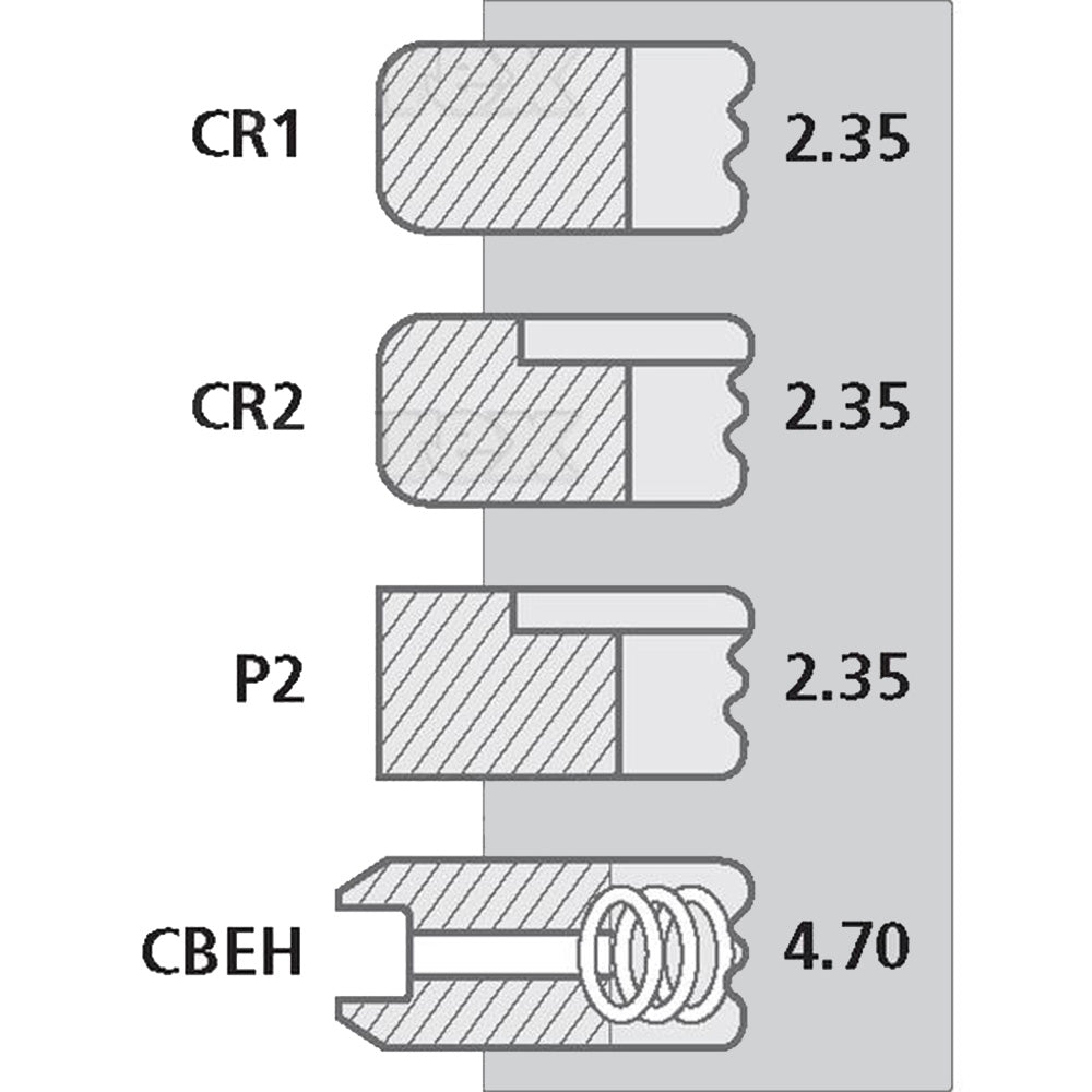 DJPN6149Y Ring Set Fits Ford/New Holland 334 420 550 555 655 TW5 3230 +