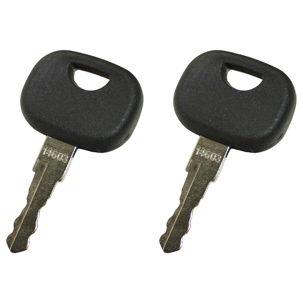Qty 2: Key(s) Fits Universal Products Replaces 11306919
