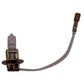 AGCO / Fits Massey Ferguson Tractor Bulb 1628494M1