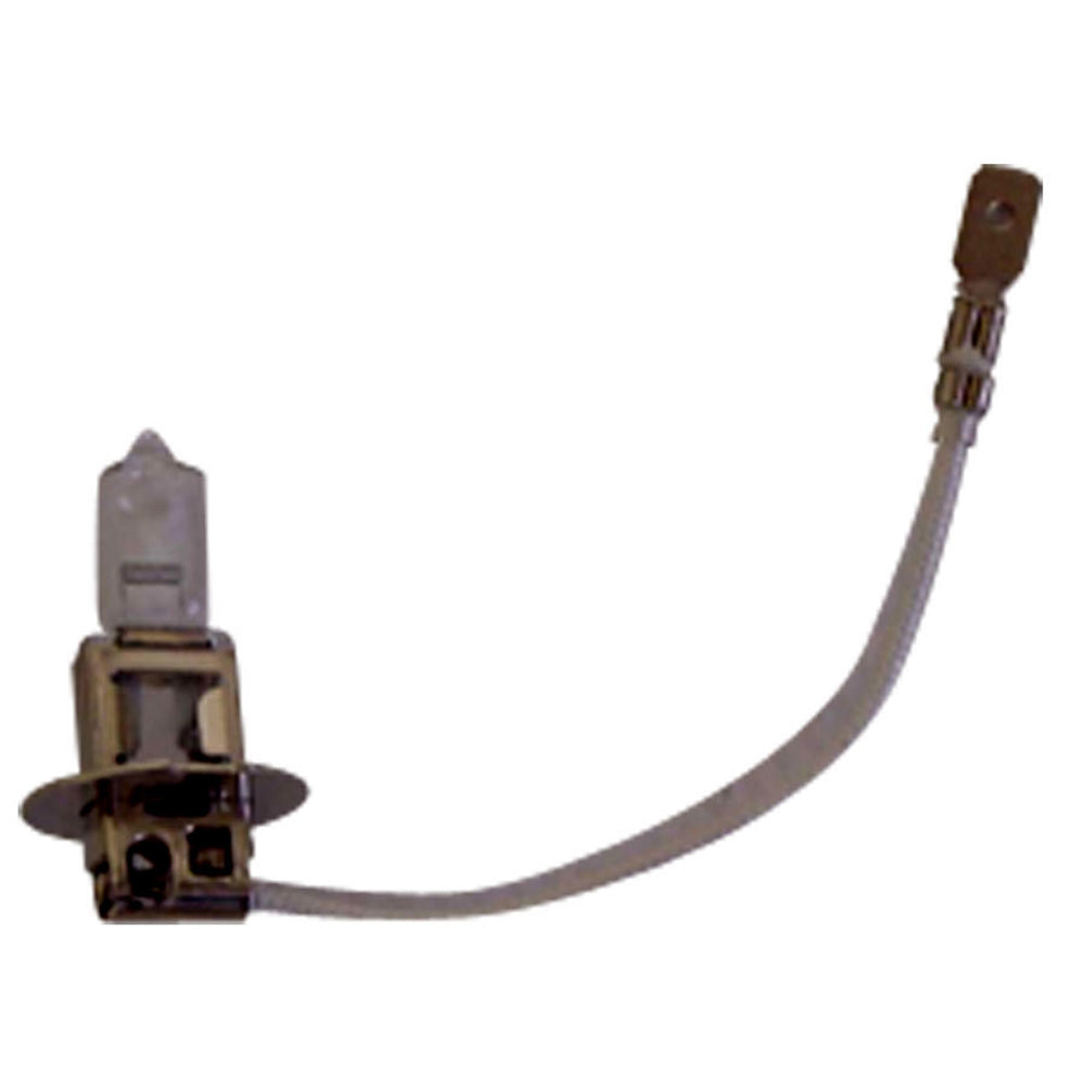 AGCO / Fits Massey Ferguson Tractor Bulb 1628494M1